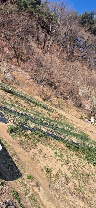 봉림동 태진농장님의 자유주제 · 자유게시판 작성글 사진