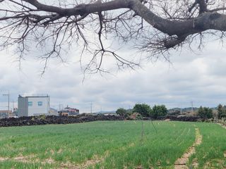 한경훈님의 자유주제 · 자유게시판 작성글 사진