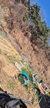 봉림동 태진농장님의 자유주제·자유게시판 작성글 사진