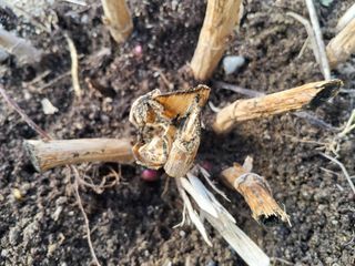 김종덕님의 작성글 사진