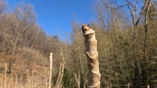 제키님의 자유주제·자유게시판 작성글 사진