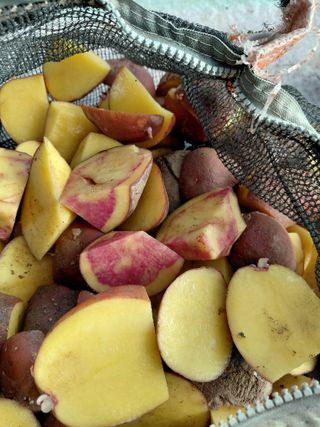 좋은인연원님의 자유주제 · 자유게시판 작성글 사진