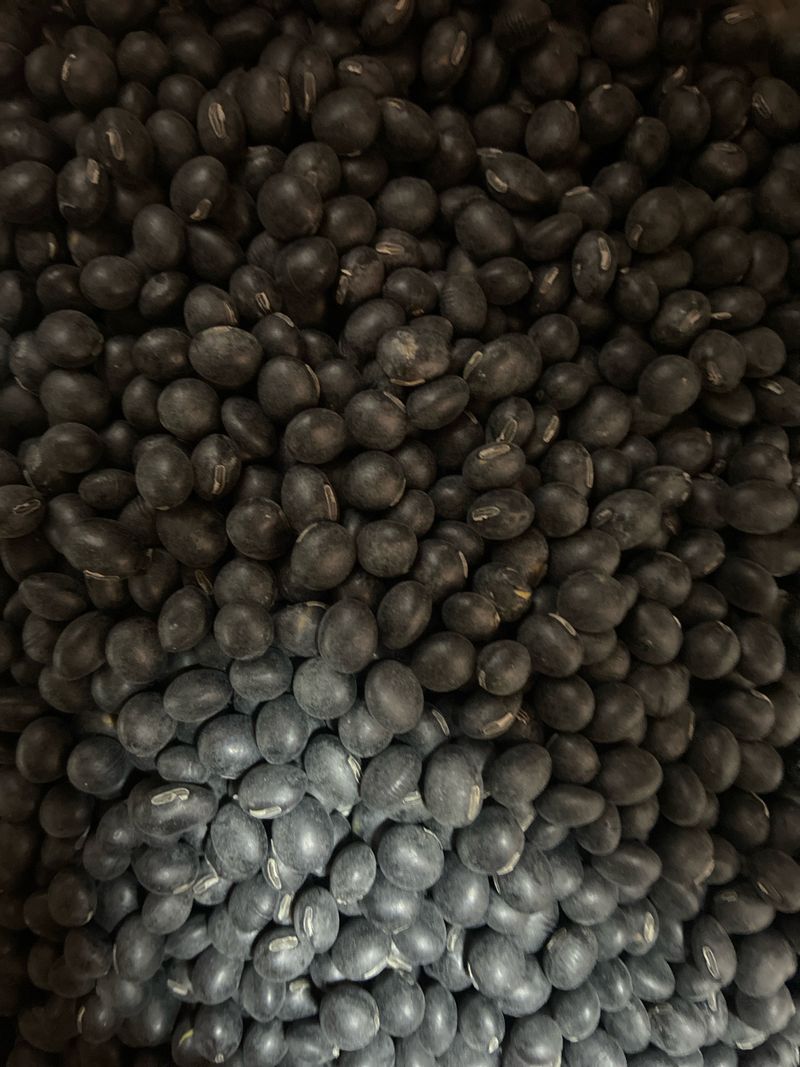 강희청님의 장터 판매 상품 [서리태(청자5호) 1kg] 첨부 사진