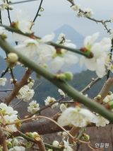 안길원님의 자유주제·자유게시판 작성글 사진