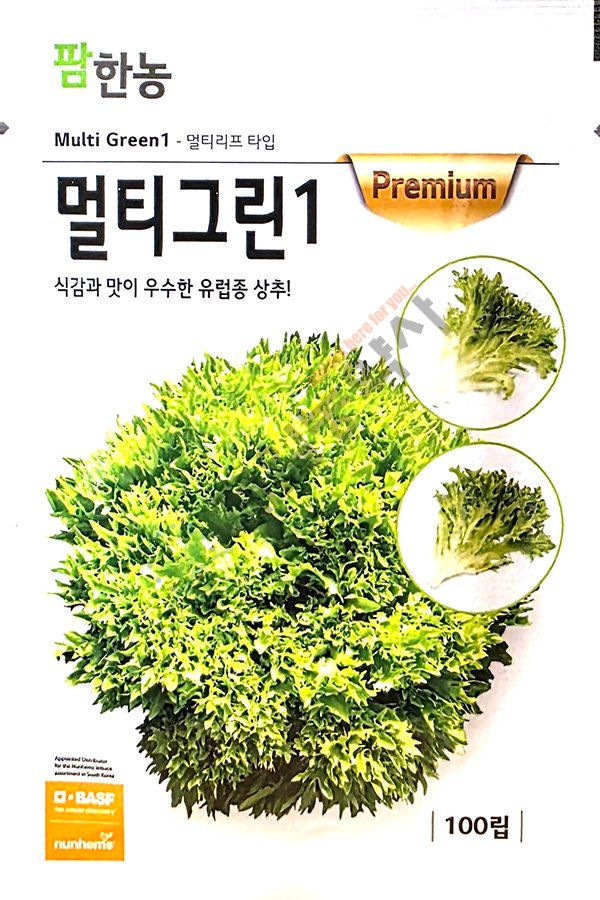 안산제일농약사님의 장터 판매 상품 [유럽상추씨앗 모음 피델 바사리 씸블 핀스타 26년] 첨부 사진
