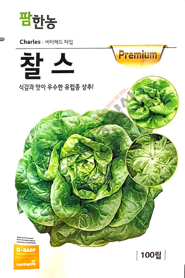 안산제일농약사님의 장터 판매 상품 [유럽상추씨앗 모음 피델 바사리 씸블 핀스타 26년] 첨부 사진