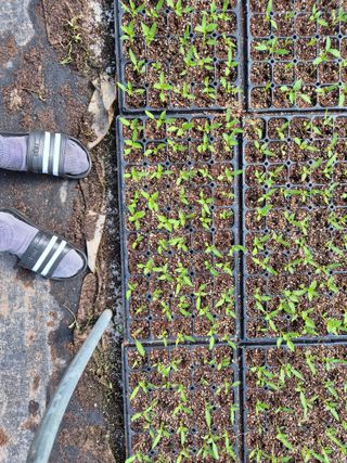 김영진(전남영광)님의 자유주제 · 자유게시판 작성글 사진