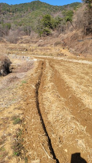 권리를위한투쟁님의 자유주제 · 자유게시판 작성글 사진