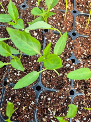 김영진(전남영광)님의 자유주제 · 자유게시판 작성글 사진