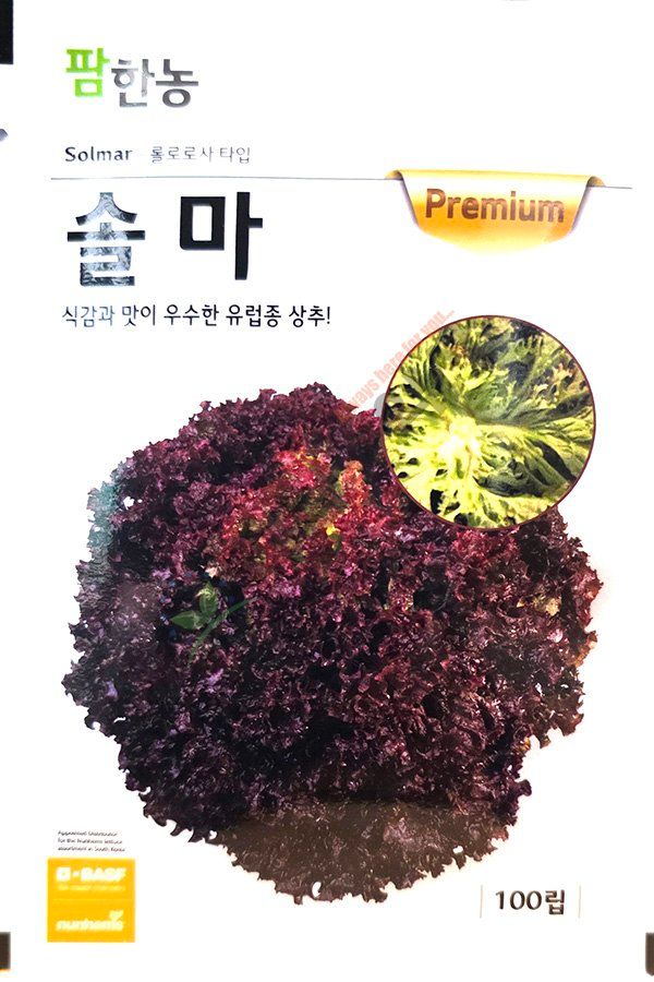 안산제일농약사님의 장터 판매 상품 [유럽상추씨앗 모음 피델 바사리 씸블 핀스타 26년] 첨부 사진