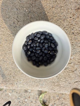 서외성님의 작성글 사진