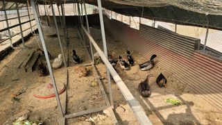 김영복님의 자유주제 · 자유게시판 작성글 사진