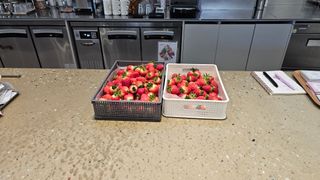 백암제이하우스님의 작성글 사진