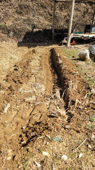 권리를위한투쟁님의 자유주제 · 자유게시판 작성글 사진