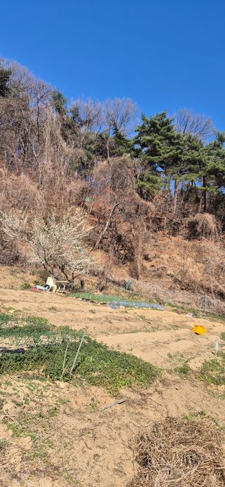 봉림동 태진농장님의 자유주제 · 자유게시판 작성글 사진