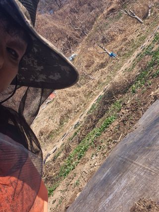 봉림동 태진농장님의 자유주제 · 자유게시판 작성글 사진