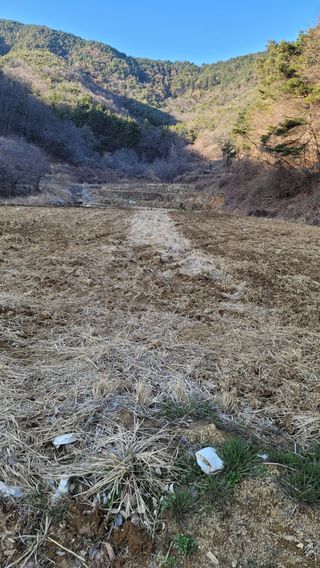 권리를위한투쟁님의 자유주제 · 자유게시판 작성글 사진