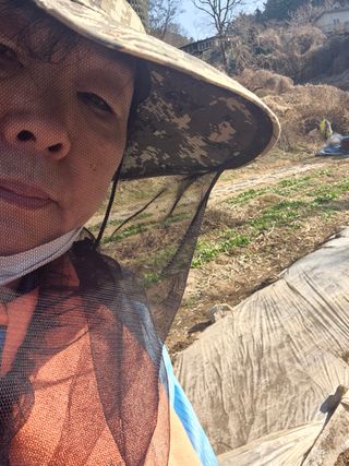 봉림동 태진농장님의 자유주제 · 자유게시판 작성글 사진