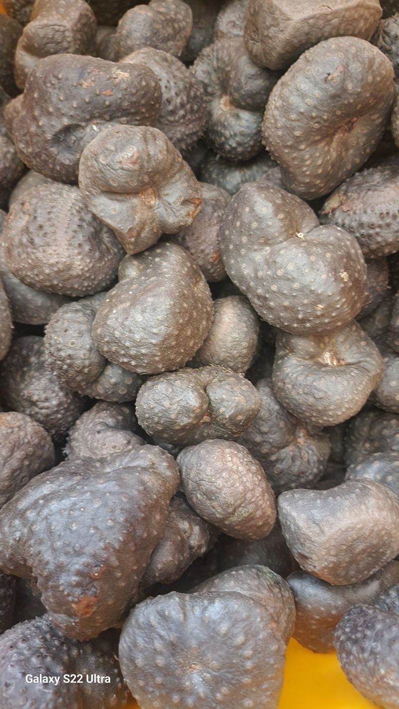 장터 상품 [열매마 종자용 5kg] 썸네일