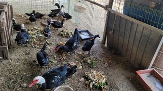 김영복님의 자유주제 · 자유게시판 작성글 사진