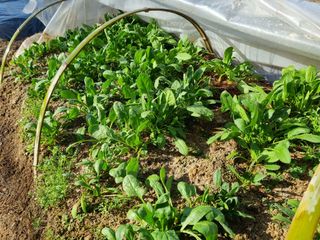 박진규님의 자유주제 · 자유게시판 작성글 사진