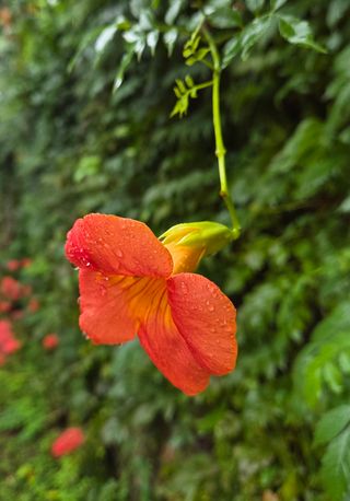 최동수님의 자유주제 · 자유게시판 작성글 사진