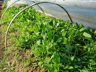 박진규님의 자유주제 · 자유게시판 작성글 사진