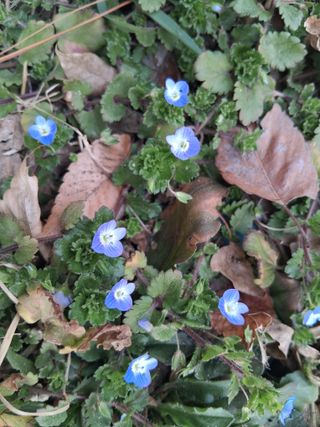 김석순 대암산아랫말님의 자유주제·자유게시판 작성글 사진