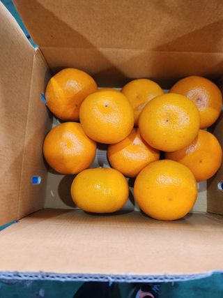 양태숙님의 작성글 사진