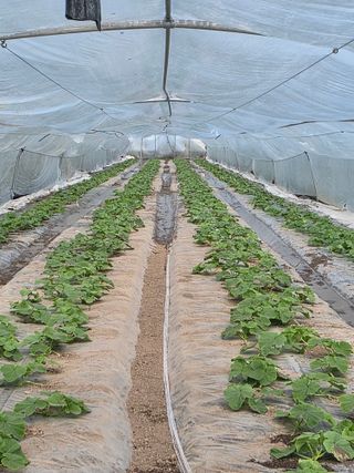 빛그린 김용화님의 자유주제 · 자유게시판 작성글 사진