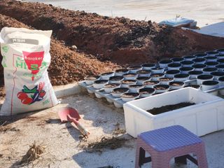 이창신님의 자유주제 · 자유게시판 작성글 사진