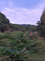 팜모닝 자유주제·자유게시판 게시글 이미지