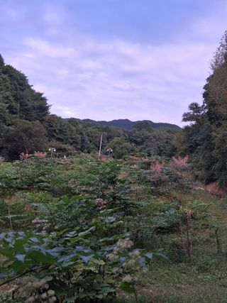 김석순 대암산아랫말님의 자유주제 · 자유게시판 작성글 사진
