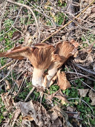 참깨16159p.m님의 자유주제 · 자유게시판 작성글 사진