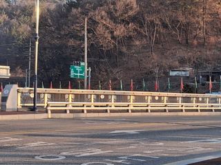 MSG0074님의 자유주제 · 자유게시판 작성글 사진