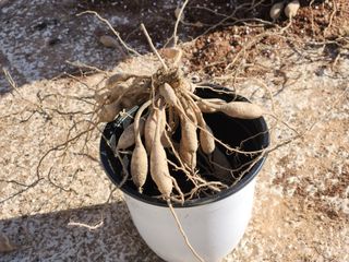 이창신님의 자유주제 · 자유게시판 작성글 사진