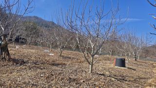 정석구님의 자유주제 · 자유게시판 작성글 사진