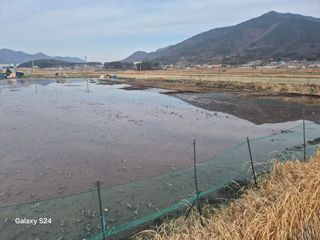 사천시향촌동 돼지띠님의 자유주제 · 자유게시판 작성글 사진