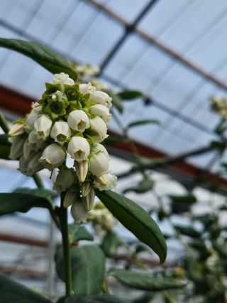 제주 지안이네농장님의 자유주제 · 자유게시판 작성글 사진