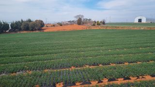 윤상연님의 자유주제 · 자유게시판 작성글 사진