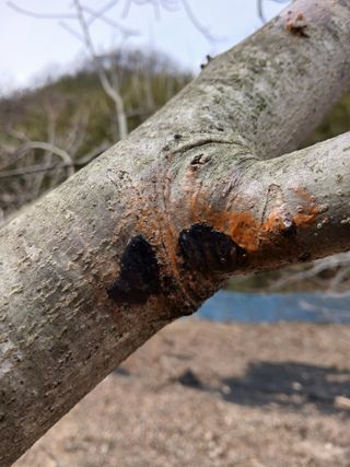 이종득님의 자유주제 · 자유게시판 작성글 사진