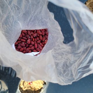 이창화님의 자유주제 · 자유게시판 작성글 사진