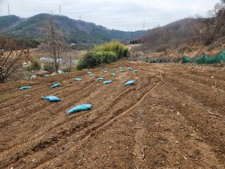 최은오님의 자유주제 · 자유게시판 작성글 사진