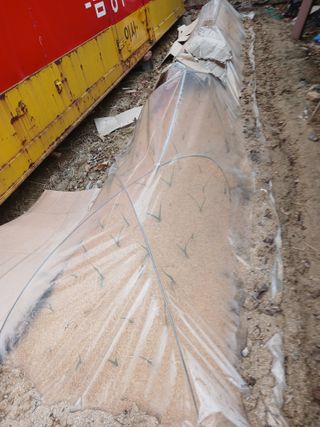 도토리아줌마님의 자유주제 · 자유게시판 작성글 사진