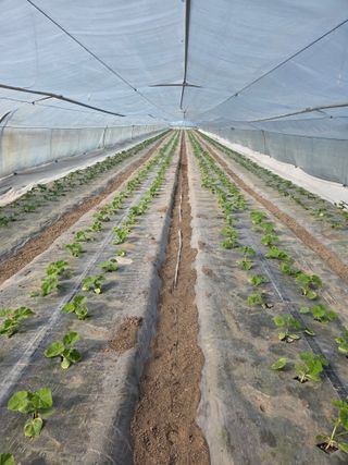 빛그린 김용화님의 자유주제 · 자유게시판 작성글 사진