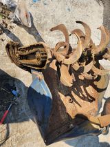 팜모닝 자유주제·자유게시판 게시글 이미지