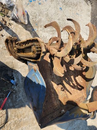 최은오님의 자유주제 · 자유게시판 작성글 사진