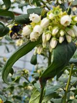 팜모닝 자유주제·자유게시판 게시글 이미지