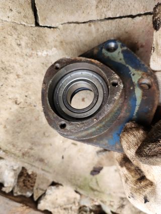 최은오님의 자유주제 · 자유게시판 작성글 사진