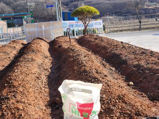 이창신님의 자유주제 · 자유게시판 작성글 사진